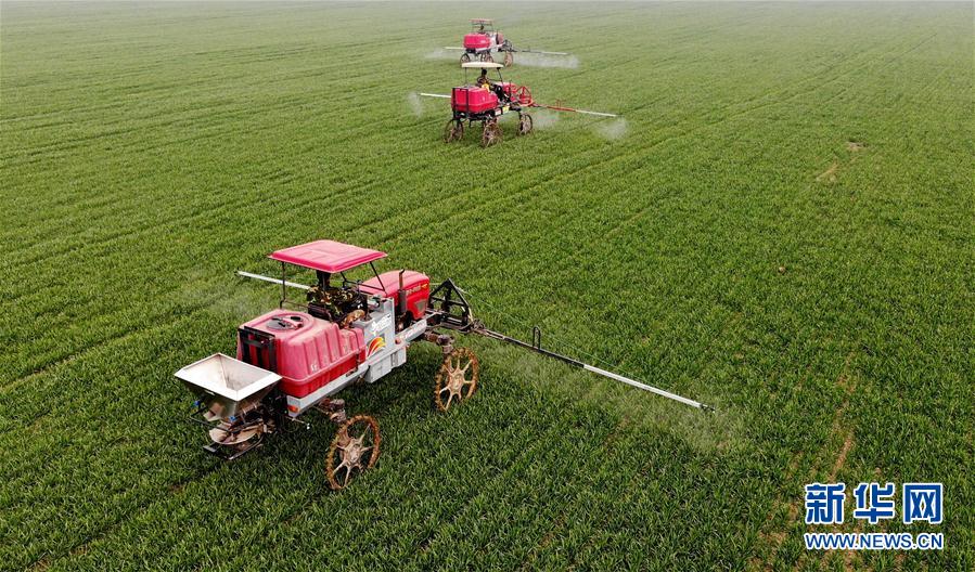 （新華全媒頭條·圖文互動）（3）春天，匯聚復(fù)蘇的力量——寫在2020年首季中國經(jīng)濟收官之際