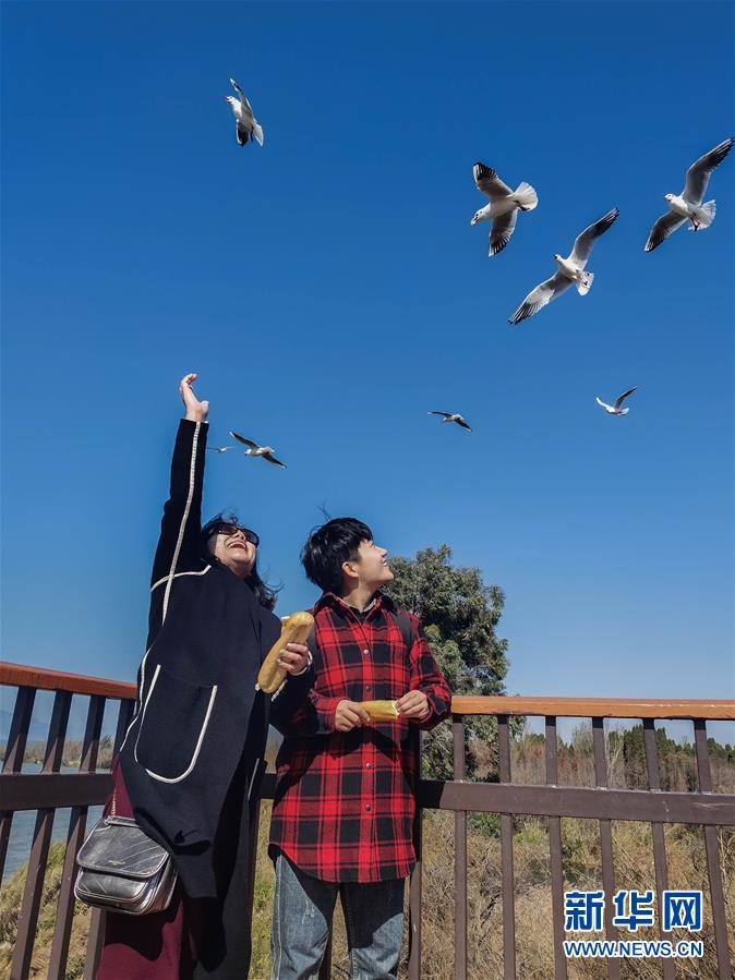 （一線抗疫群英譜·圖文互動(dòng)）（1）大學(xué)生志愿者譚藝西：在武漢，我和媽媽共戰(zhàn)“疫”