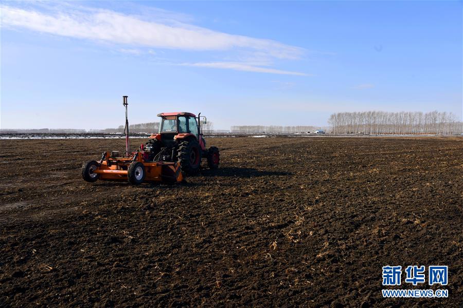(在習近平新時代中國特色社會主義思想指引下——新時代新作為新篇章·習近平總書記關切事·圖文互動)(4)希望的田野,希望的春天——各地農業生產新動態掃描