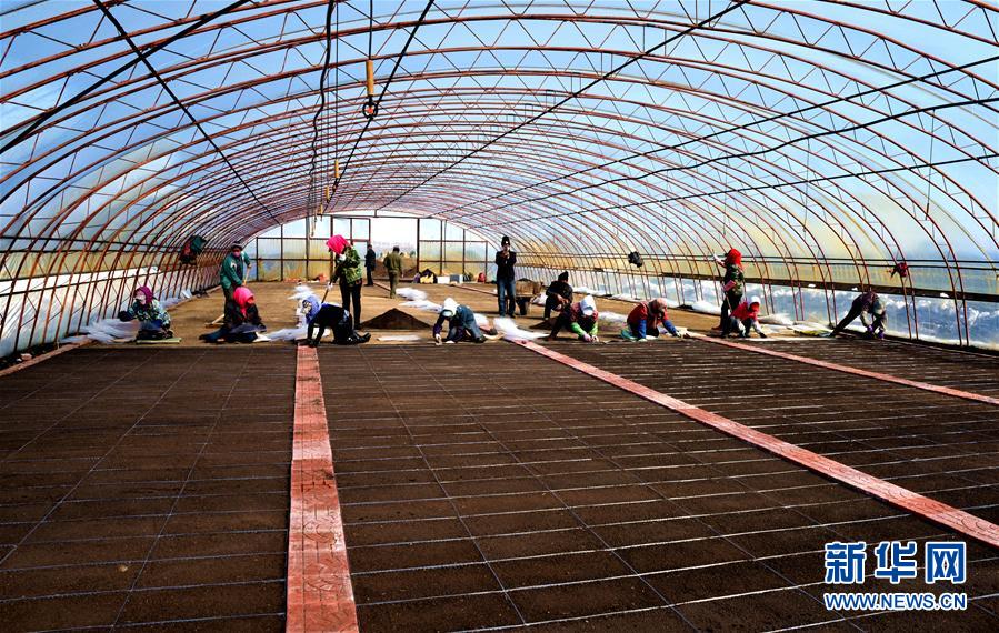 (在習近平新時代中國特色社會主義思想指引下——新時代新作為新篇章·習近平總書記關切事·圖文互動)(5)希望的田野,希望的春天——各地農業生產新動態掃描