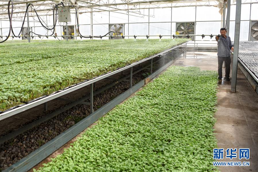 (決戰(zhàn)決勝脫貧攻堅(jiān)·圖文互動(dòng))(3)決戰(zhàn)昆侖——新疆聚焦10個(gè)未摘帽縣展開(kāi)深度貧困攻堅(jiān)戰(zhàn)