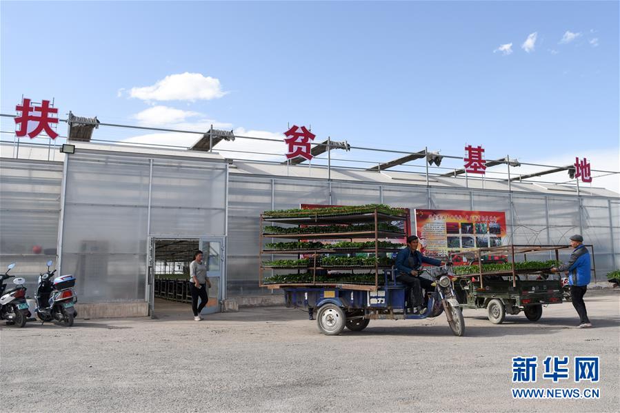 (決戰(zhàn)決勝脫貧攻堅(jiān)·圖文互動(dòng))(9)決戰(zhàn)昆侖——新疆聚焦10個(gè)未摘帽縣展開(kāi)深度貧困攻堅(jiān)戰(zhàn)