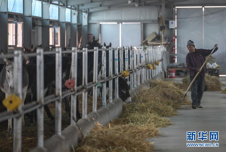 (決戰(zhàn)決勝脫貧攻堅(jiān)·圖文互動(dòng))(12)決戰(zhàn)昆侖——新疆聚焦10個(gè)未摘帽縣展開(kāi)深度貧困攻堅(jiān)戰(zhàn)