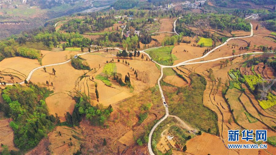 （決戰決勝脫貧攻堅·圖文互動）（2）寄相思，償夙愿——5封清明“家書”里的決戰決勝信念