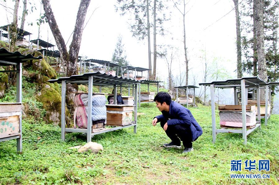 （決戰決勝脫貧攻堅·圖文互動）（3）寄相思，償夙愿——5封清明“家書”里的決戰決勝信念