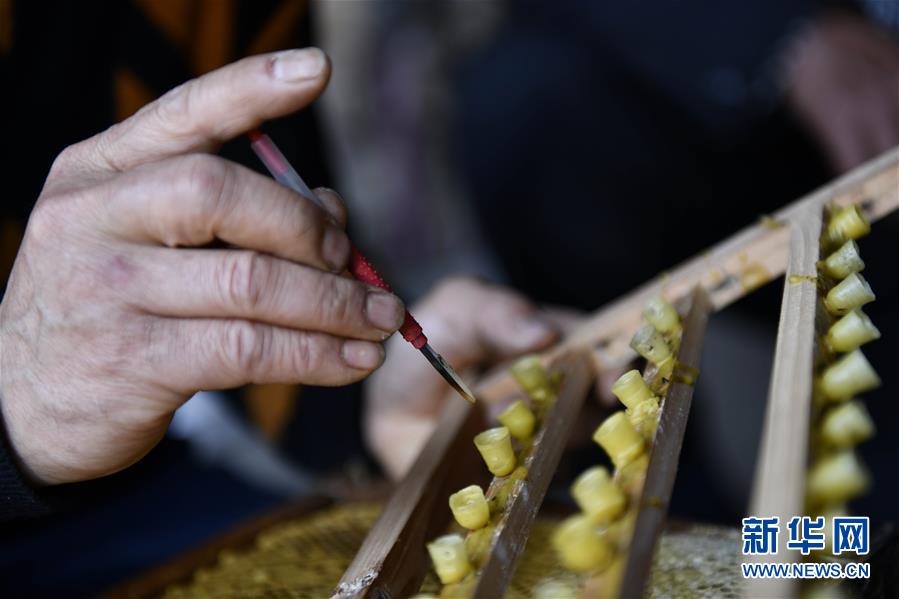 （決戰(zhàn)決勝脫貧攻堅·圖文互動）（4）一位農(nóng)民的產(chǎn)業(yè)扶貧成績單 