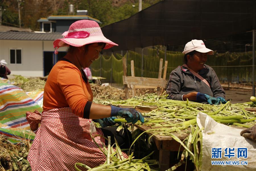 (在習(xí)近平新時(shí)代中國(guó)特色社會(huì)主義思想指引下——新時(shí)代新作為新篇章·習(xí)近平總書(shū)記關(guān)切事·圖文互動(dòng))(4)啃下最后的硬骨頭——脫貧攻堅(jiān)掛牌督戰(zhàn)進(jìn)行時(shí)