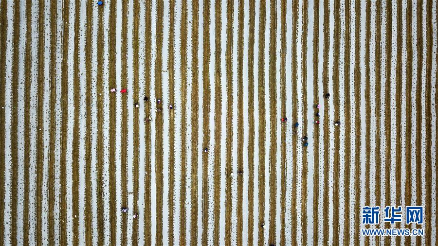 (在習(xí)近平新時(shí)代中國(guó)特色社會(huì)主義思想指引下——新時(shí)代新作為新篇章·習(xí)近平總書(shū)記關(guān)切事·圖文互動(dòng))(6)啃下最后的硬骨頭——脫貧攻堅(jiān)掛牌督戰(zhàn)進(jìn)行時(shí)