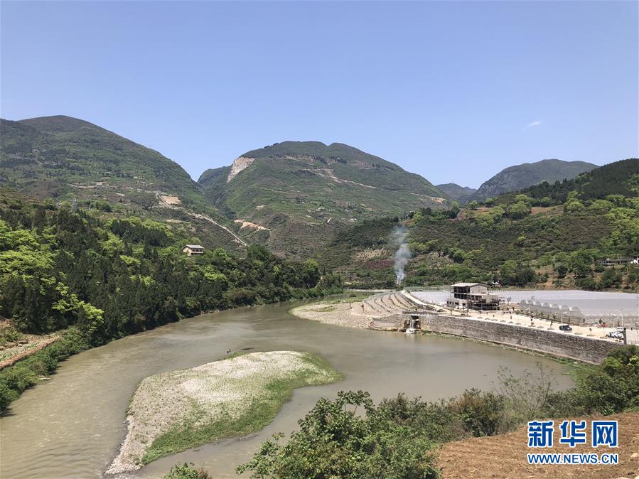 (決戰決勝脫貧攻堅·圖文互動)(1)野奶角又見春天