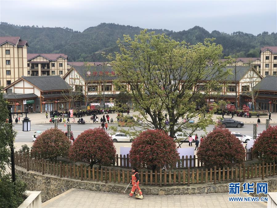 (圖文互動(dòng))(1)柏楊林的“樣板間”