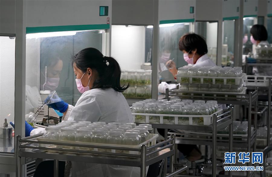 (來自一線的調(diào)查報(bào)告·圖文互動(dòng))(6)搶出一個(gè)身位謀發(fā)展——河南許昌經(jīng)濟(jì)復(fù)蘇見聞