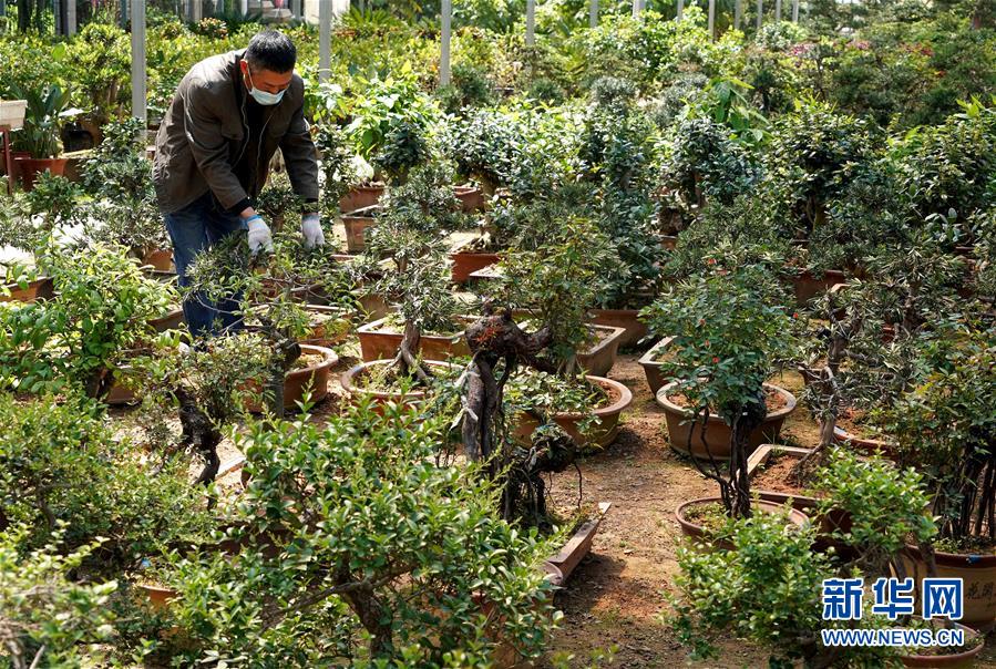 (來自一線的調(diào)查報(bào)告·圖文互動(dòng))(7)搶出一個(gè)身位謀發(fā)展——河南許昌經(jīng)濟(jì)復(fù)蘇見聞