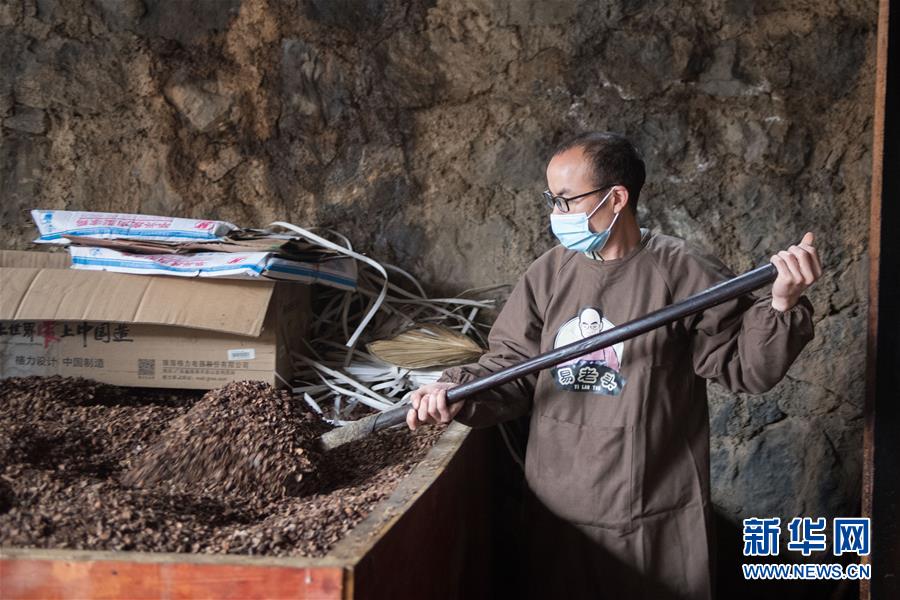 (決戰(zhàn)決勝脫貧攻堅·圖文互動)(3)香在深山有“遠(yuǎn)親”