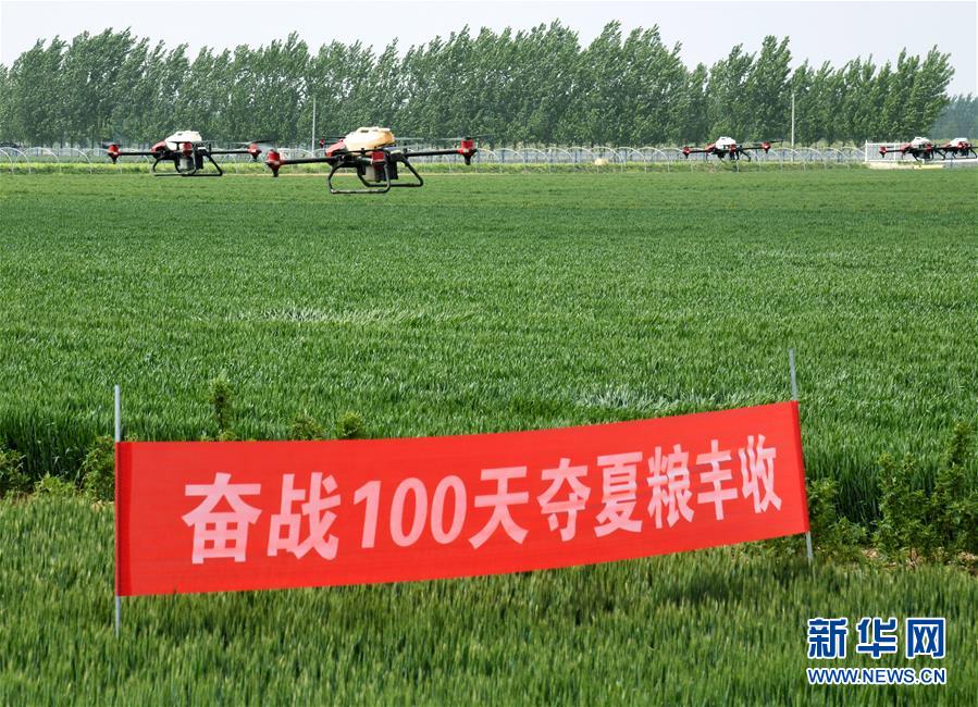 （在習(xí)近平新時代中國特色社會主義思想指引下——新時代新作為新篇章·習(xí)近平總書記關(guān)切事·圖文互動）（9）新農(nóng)事、新希望——夏收前田間新動態(tài)掃描