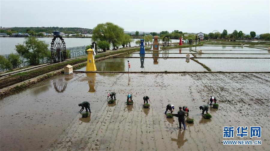 (在習(xí)近平新時代中國特色社會主義思想指引下——新時代新作為新篇章·習(xí)近平總書記關(guān)切事·圖文互動)(6)讓農(nóng)民挑上“金扁擔(dān)”——農(nóng)業(yè)現(xiàn)代化的生動實(shí)踐掃描
