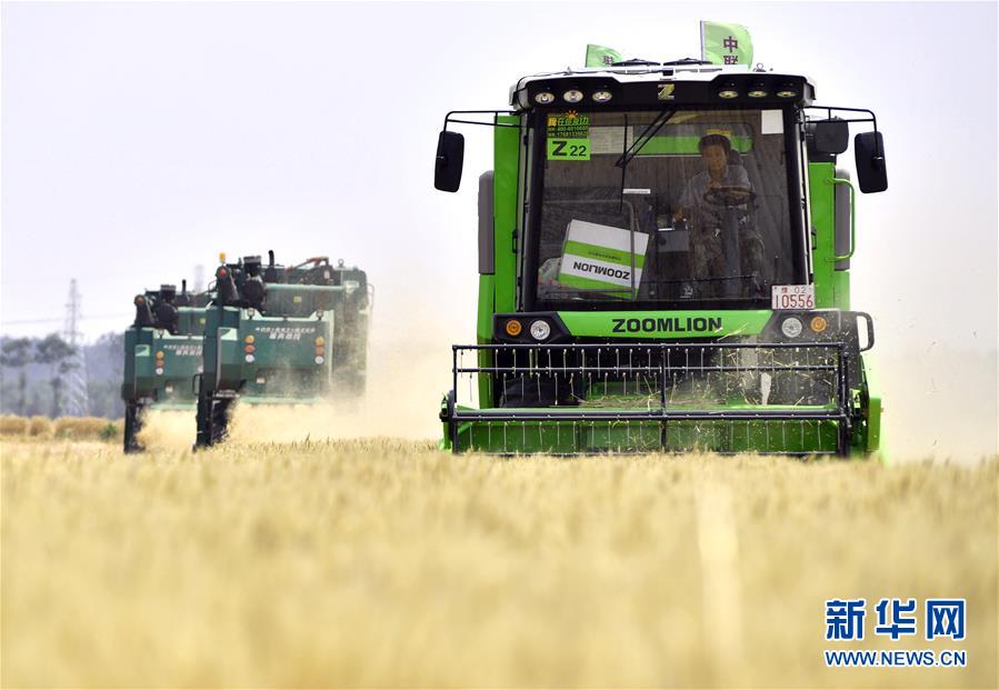 (在習(xí)近平新時代中國特色社會主義思想指引下——新時代新作為新篇章·習(xí)近平總書記關(guān)切事·圖文互動)(12)讓農(nóng)民挑上“金扁擔(dān)”——農(nóng)業(yè)現(xiàn)代化的生動實(shí)踐掃描