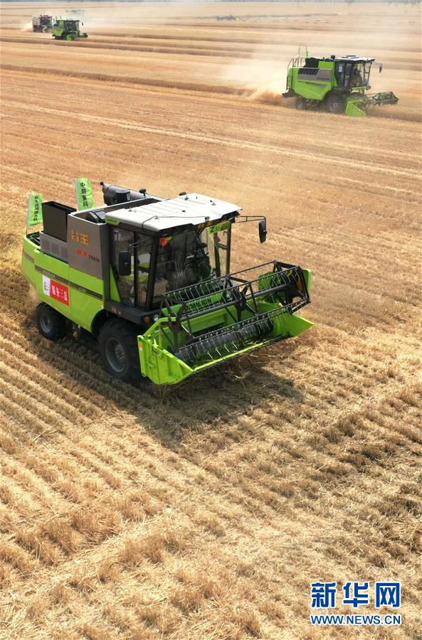 (在習(xí)近平新時代中國特色社會主義思想指引下——新時代新作為新篇章·習(xí)近平總書記關(guān)切事·圖文互動)(13)讓農(nóng)民挑上“金扁擔(dān)”——農(nóng)業(yè)現(xiàn)代化的生動實(shí)踐掃描