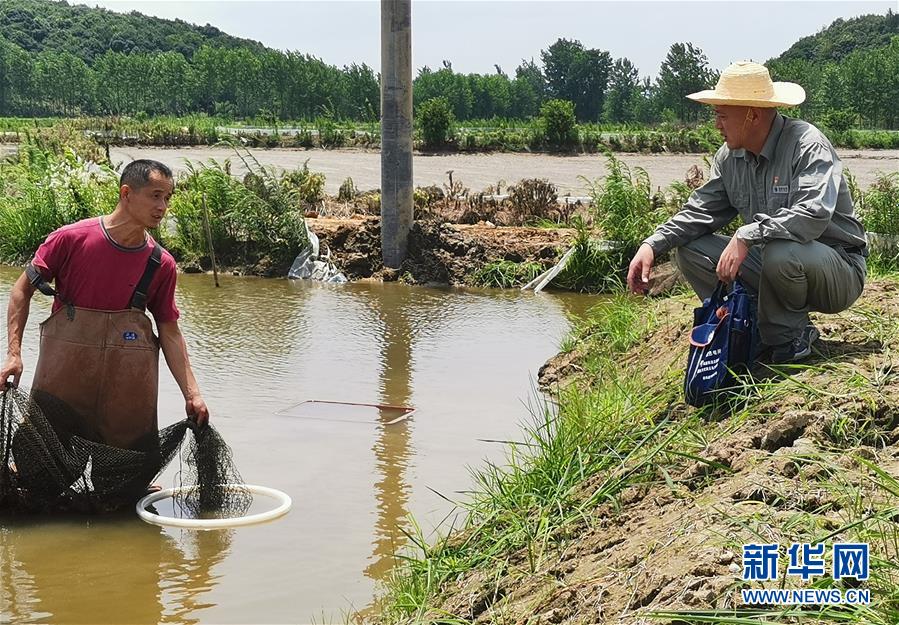 (決戰(zhàn)決勝脫貧攻堅(jiān)·圖文互動)(3)駐村第一書記當(dāng)起“蝦農(nóng)”“牛倌”