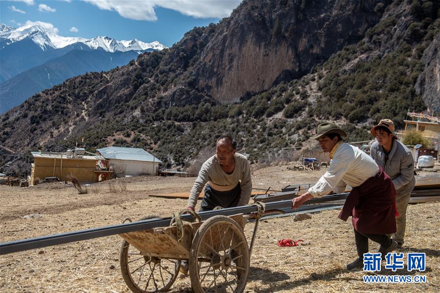 (決戰決勝脫貧攻堅·聚焦三區三州·圖文互動)(2)拓展新天地——云南迪慶藏區“新產業”掠影