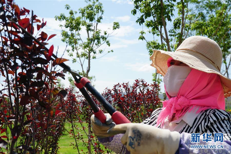 (決戰決勝脫貧攻堅·圖文互動)(2)李三姐有了“美”差事