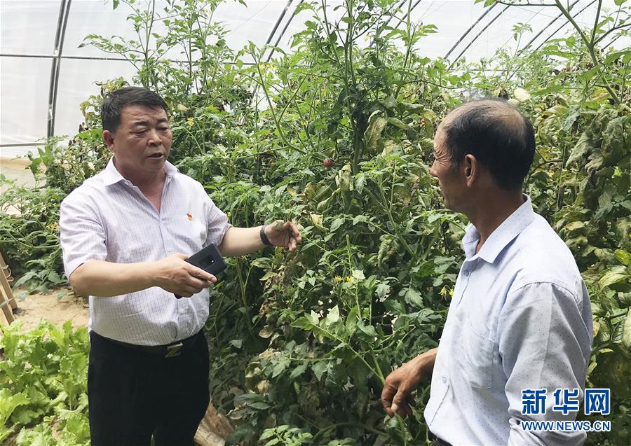 (決戰(zhàn)決勝脫貧攻堅(jiān)·圖文互動(dòng))(2)魚漁兼授 志智雙扶——窮溝溝“菜富記”