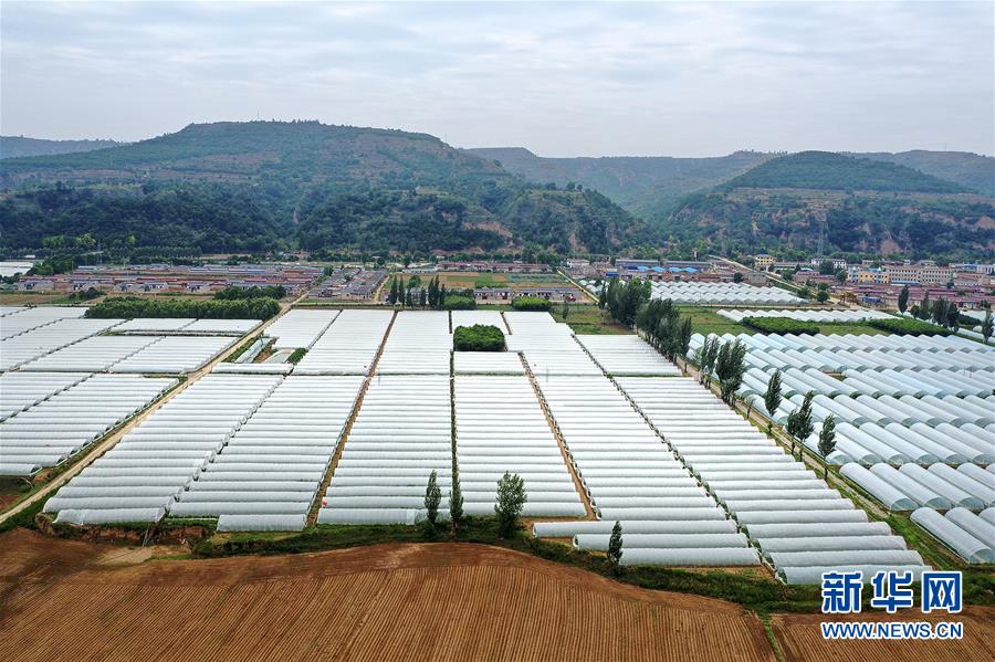 (決戰(zhàn)決勝脫貧攻堅(jiān)·圖文互動(dòng))(3)魚漁兼授 志智雙扶——窮溝溝“菜富記”