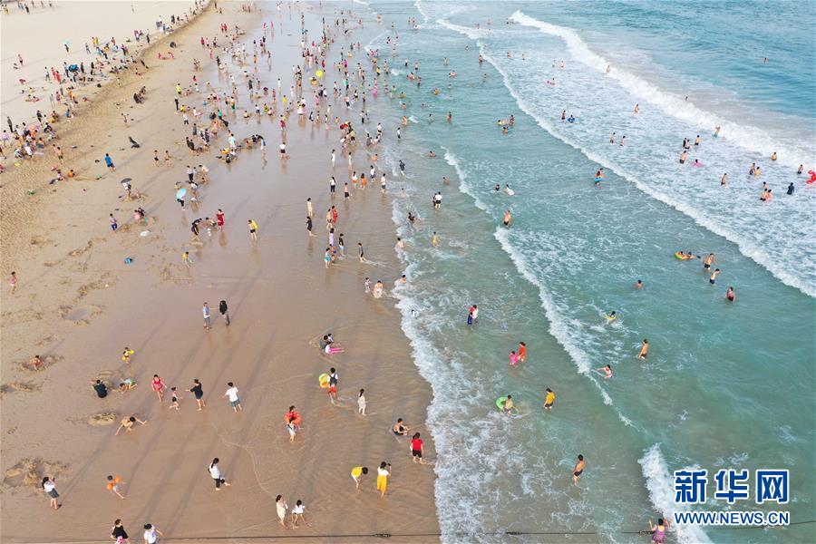 #(社會)(14)花樣慶端午