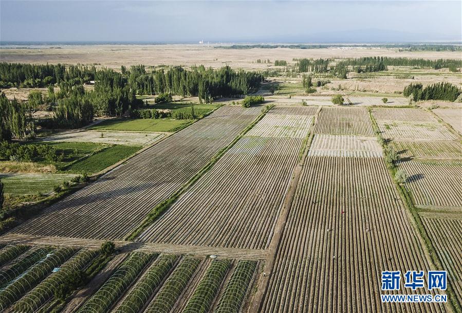 (圖文互動)(2)“沙漠高地”的美好家園