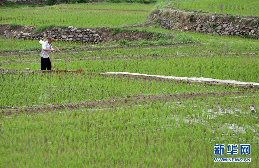 (新華全媒頭條·走向我們的小康生活·圖文互動)(11)大山深處有“新家”——大別山村繪出現代版“富春山居圖”