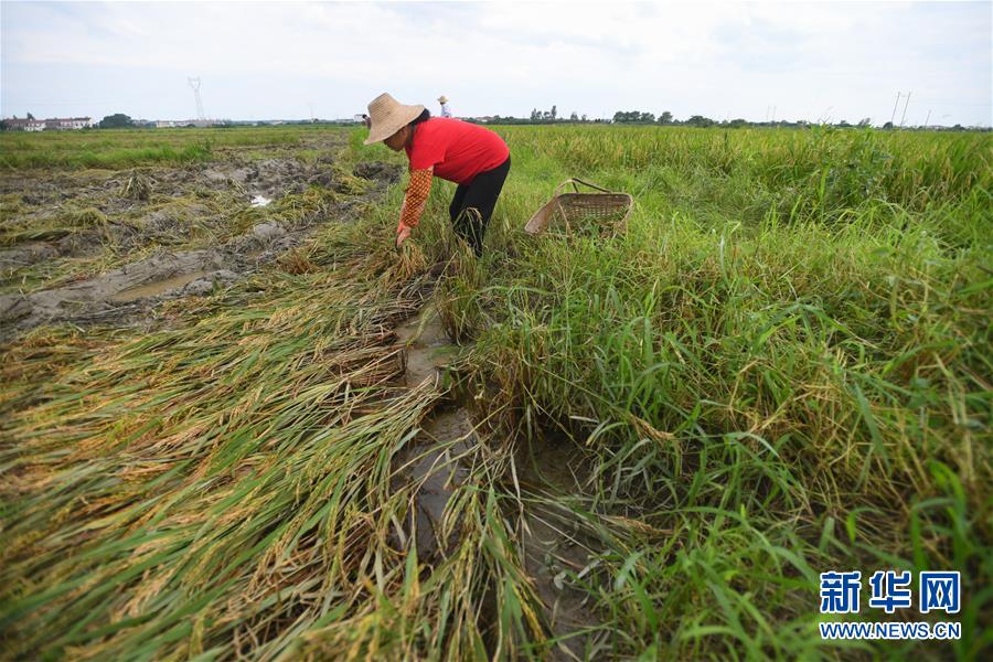 (新華全媒頭條·圖文互動)(13)為了人民群眾生命財產安全——聚焦關鍵時期全國防汛抗洪工作