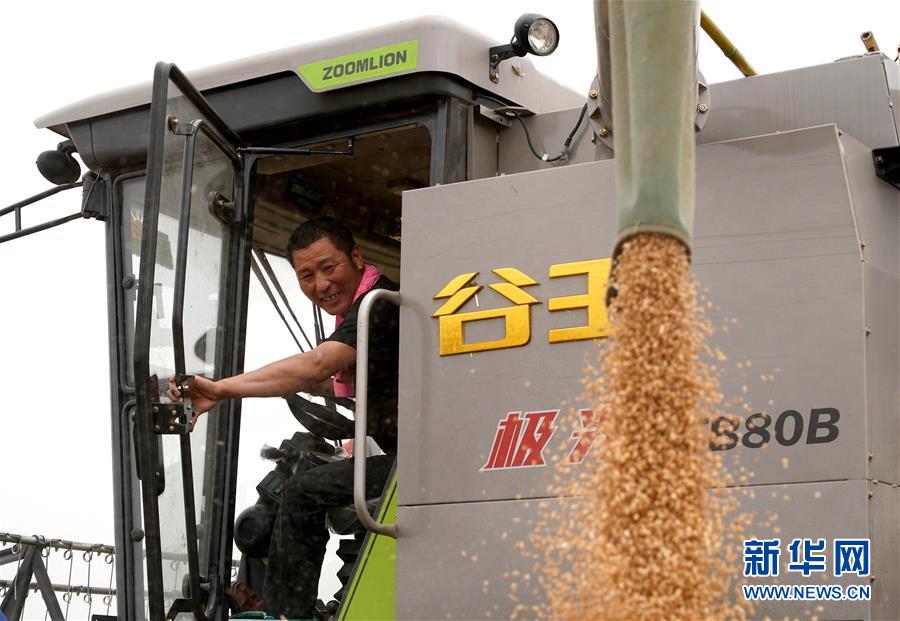 (在習(xí)近平新時代中國特色社會主義思想指引下——新時代新作為新篇章·習(xí)近平總書記關(guān)切事·圖文互動)(3)食為政首——穩(wěn)住農(nóng)業(yè)基本盤增添發(fā)展底氣