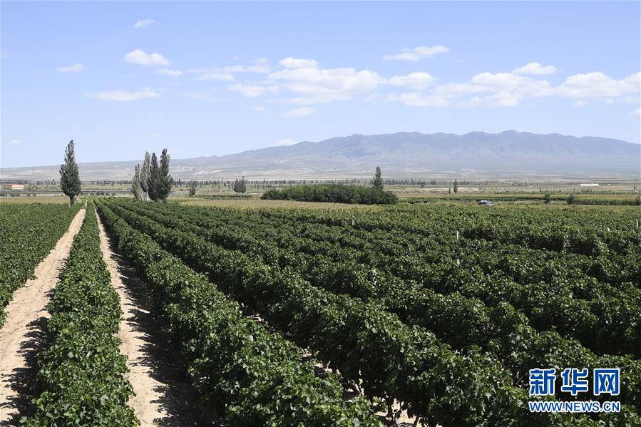 (新華全媒頭條·走向我們的小康生活·圖文互動(dòng))(9)23萬(wàn)人的命運(yùn)轉(zhuǎn)折——我國(guó)最大易地生態(tài)移民安置區(qū)的脫貧密碼