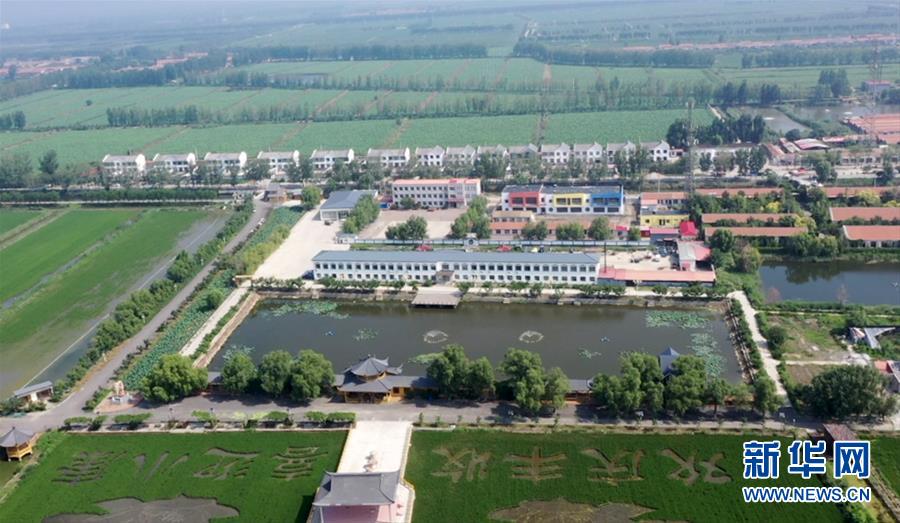 (鄉村振興·圖文互動)(1)歡喜莊的“歡喜事”