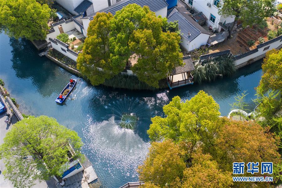 (新華全媒頭條·圖文互動)(12)生態文明之光照耀美麗中國——寫在綠水青山就是金山銀山理念提出15周年之際