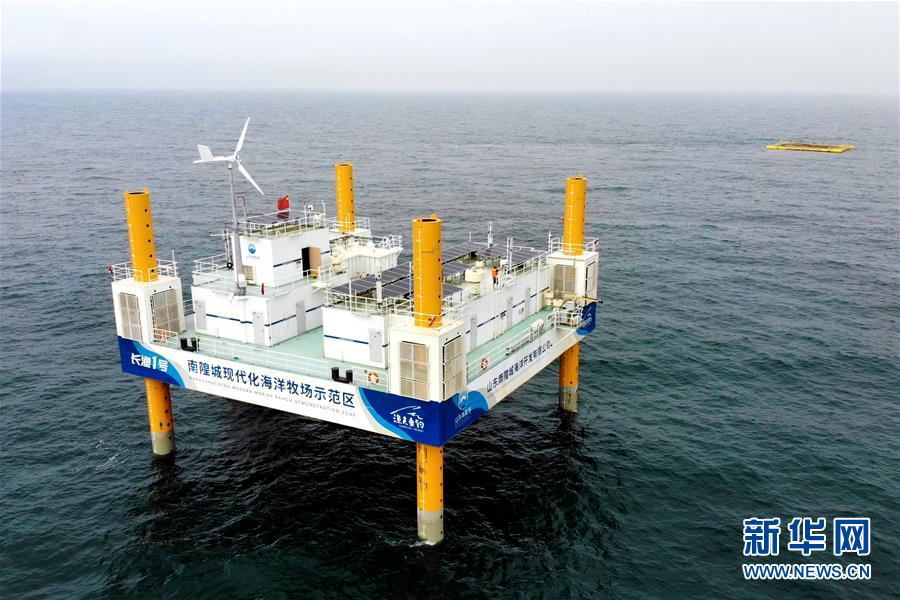 (圖文互動(dòng))(1)把“試驗(yàn)田”種成“高產(chǎn)田”——記中國(guó)(山東)自由貿(mào)易試驗(yàn)區(qū)設(shè)立一周年