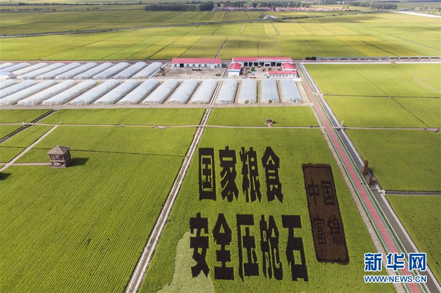 (決戰決勝脫貧攻堅·圖文互動)(1)再戰“北大倉”