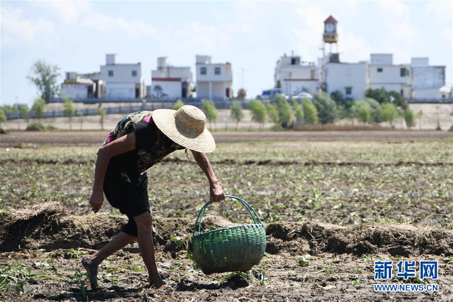 (在習近平新時代中國特色社會主義思想指引下——新時代新作為新篇章·習近平總書記關切事·圖文互動)(1)一切為了人民——寫在全國防汛救災取得階段性重大勝利之時