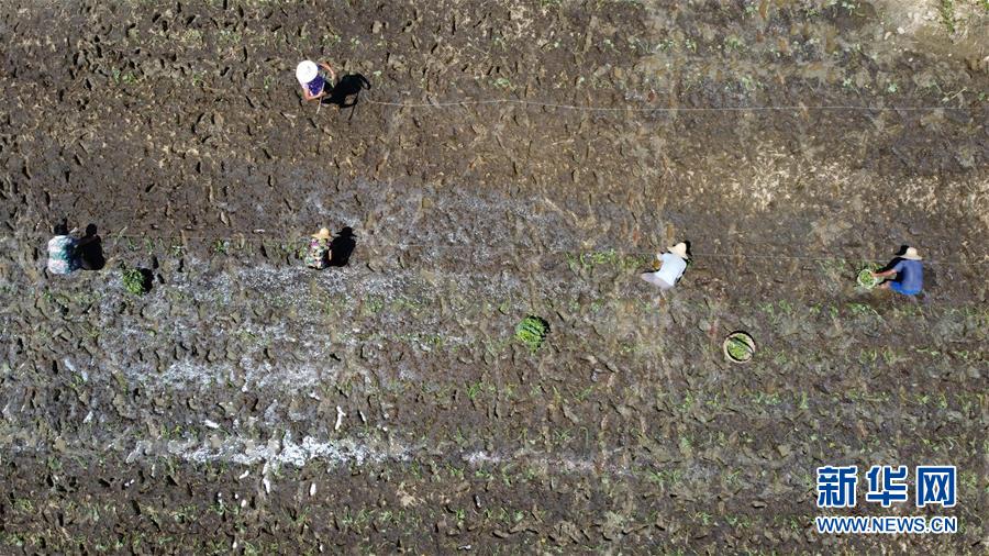 (在習近平新時代中國特色社會主義思想指引下——新時代新作為新篇章·習近平總書記關切事·圖文互動)(8)一切為了人民——寫在全國防汛救災取得階段性重大勝利之時