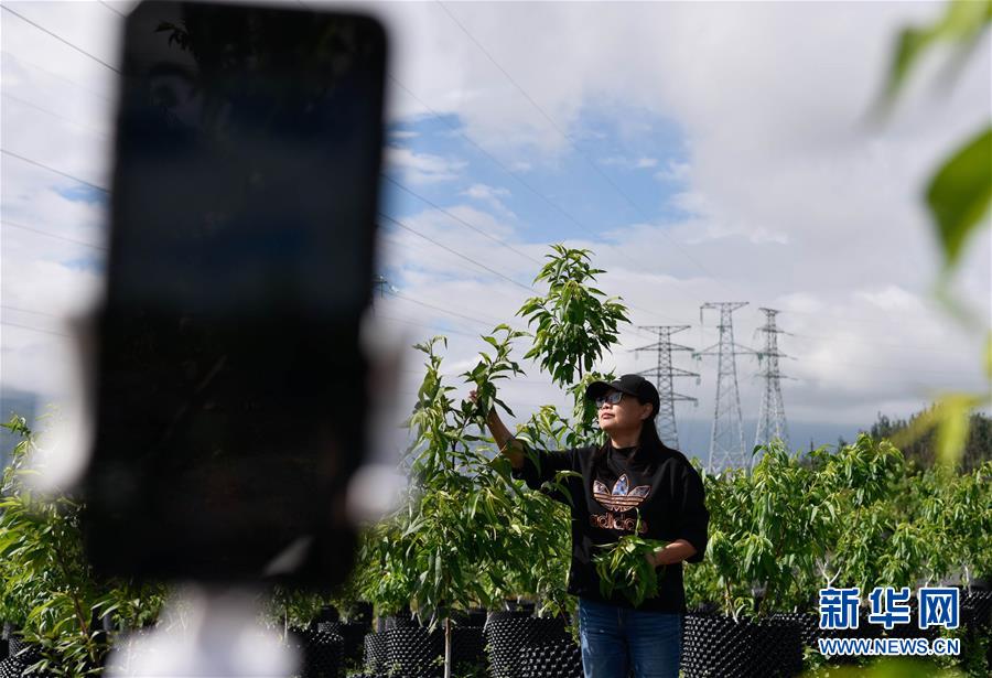 (決戰決勝脫貧攻堅·督戰未摘帽貧困縣·圖文互動)(4)12000多個“火種”點亮大涼山