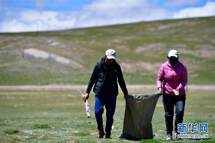 (新華全媒頭條·走向我們的小康生活·圖文互動(dòng))(5)綠色繪就三江源——來自青海脫貧奔小康一線的蹲點(diǎn)報(bào)告