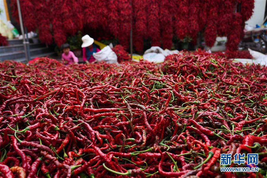 (走向我們的小康生活·決戰決勝脫貧攻堅·圖文互動)(7)甘青交界處的跨越——保安族、撒拉族的脫貧故事