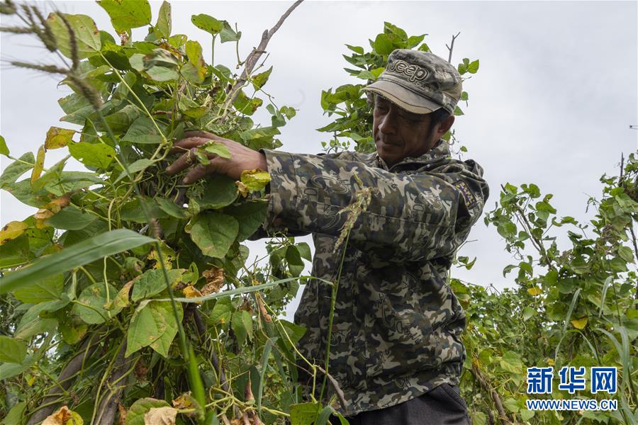 (決戰決勝脫貧攻堅·圖文互動)(3)團結村的李輝新傳