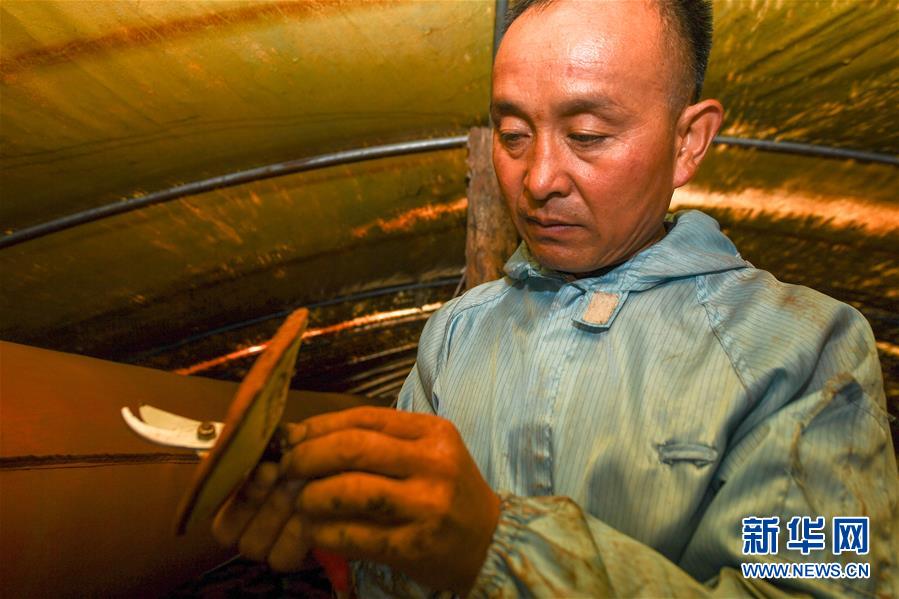 (決戰(zhàn)決勝脫貧攻堅·圖文互動)(3)從“因殘致貧”到“帶頭脫貧”——吉林靖宇有這樣一位“脫貧英雄”