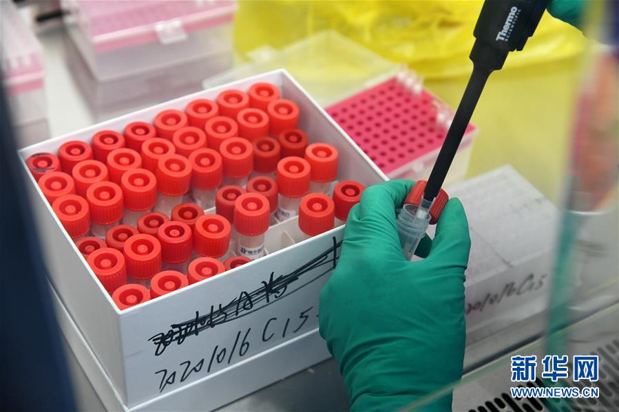 (聚焦疫情防控·圖文互動)(5)青島全員核酸檢測基本完成