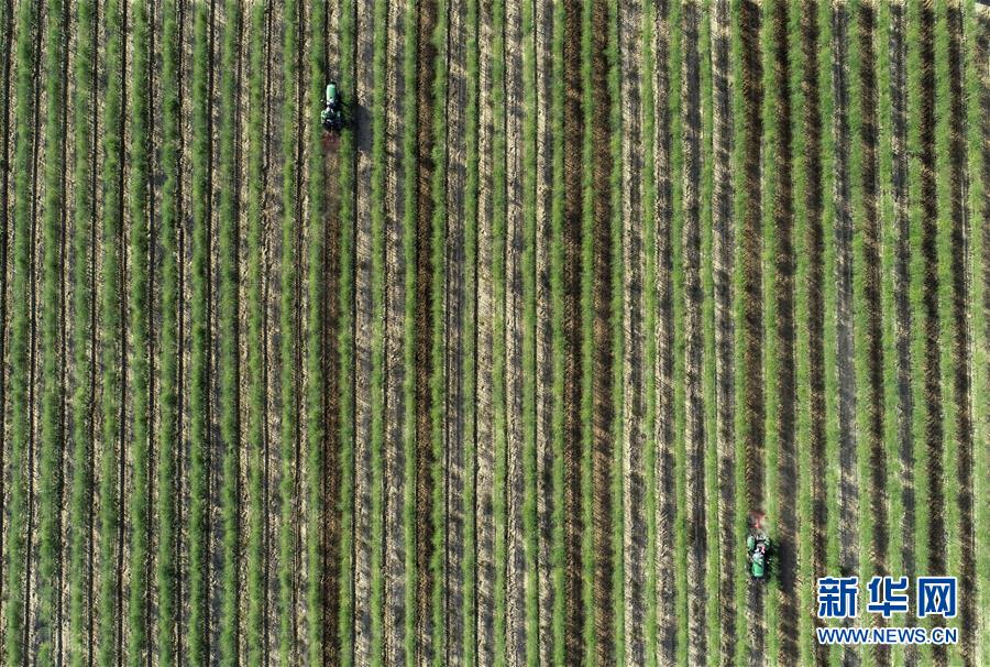 (新華全媒頭條·百萬大移民·圖文互動)(10)從大山深處到大河之畔——寧夏持續移民百萬“拔窮根”啟示