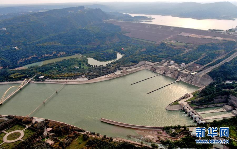 （新華全媒頭條·圖文互動）（1）從“四亂”突出到生態修復 黃河漸成中原“綠飄帶”