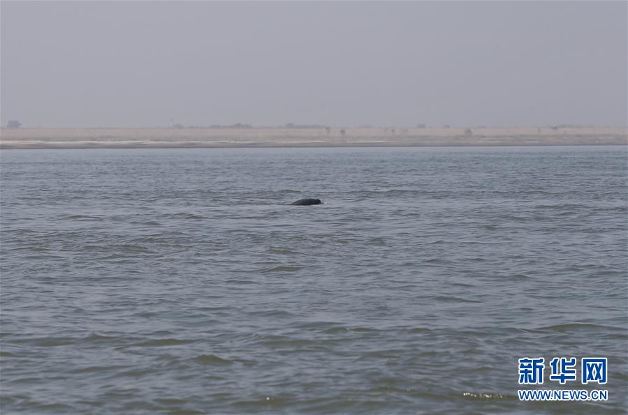 (五中全會精神在基層·圖文互動)(2)岳陽治水添彩“巴陵勝狀”