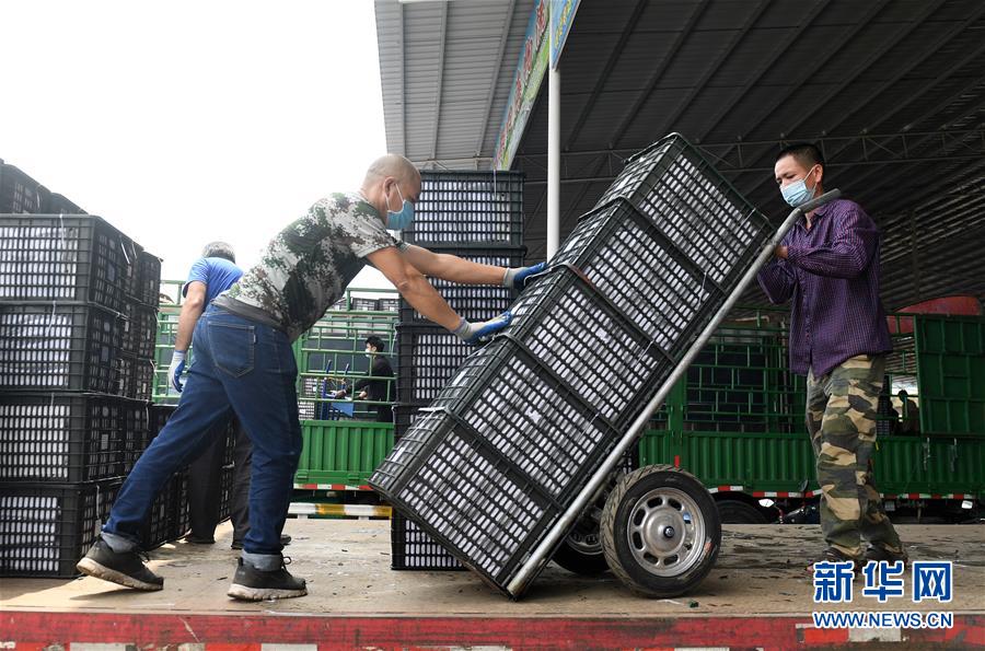 （新華全媒頭條·圖文互動）（10）暢通雙循環 共享大市場——從東博會看中國新發展格局