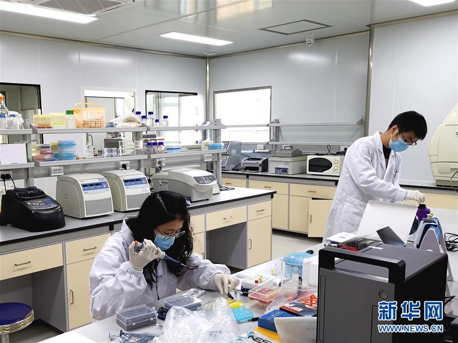 （在習近平新時代中國特色社會主義思想指引下——新時代新作為新篇章·習近平總書記關切事·圖文互動）（5）高擎利劍驅疫魔——科研攻關助力湖北戰“疫”記