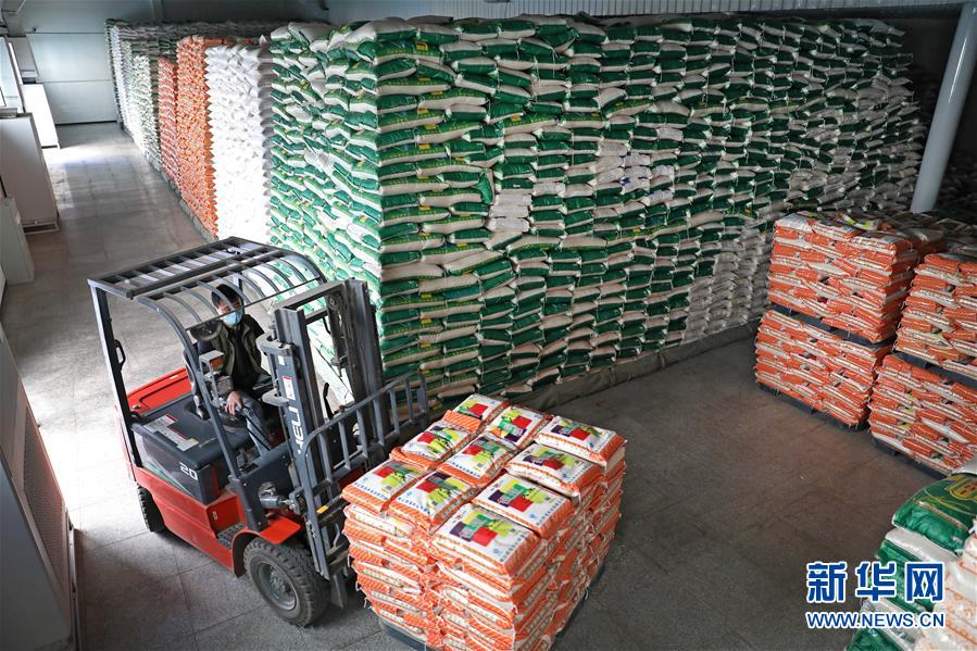 (在習(xí)近平新時(shí)代中國(guó)特色社會(huì)主義思想指引下——新時(shí)代新作為新篇章·習(xí)近平總書(shū)記關(guān)切事·圖文互動(dòng))(9)春耕忙 信心足——谷雨時(shí)節(jié)走馬東北直擊糧事